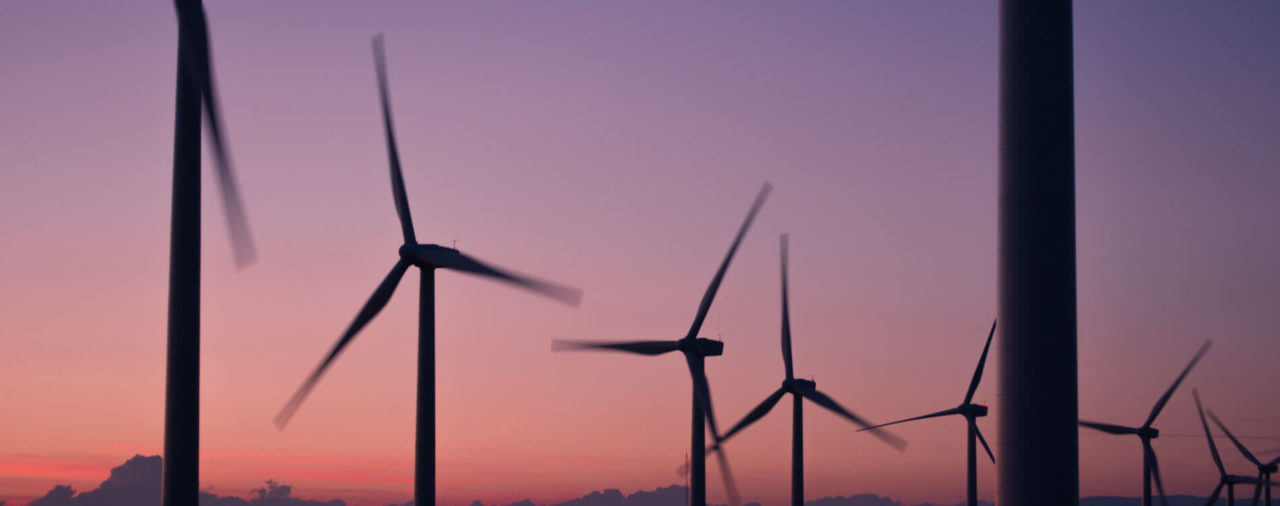 TerraBrands Launches to Expand Edible Algae Category