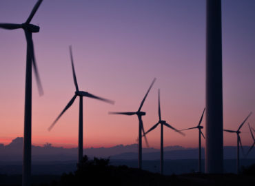 TerraBrands Launches to Expand Edible Algae Category