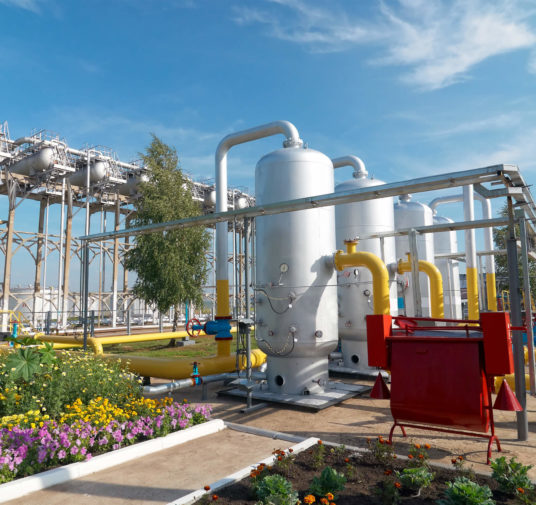 Bunge And Solazyme Expand Joint Venture